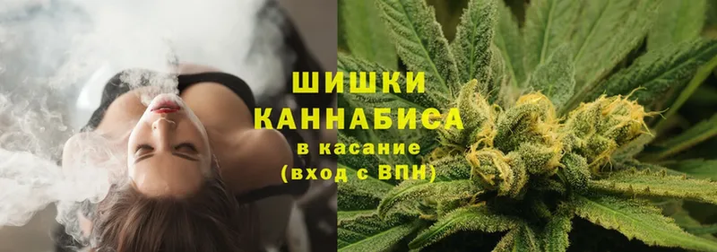 Каннабис планчик  магазин    Жиздра 